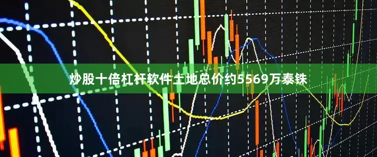 炒股十倍杠杆软件土地总价约5569万泰铢