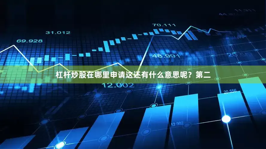 杠杆炒股在哪里申请这还有什么意思呢？第二