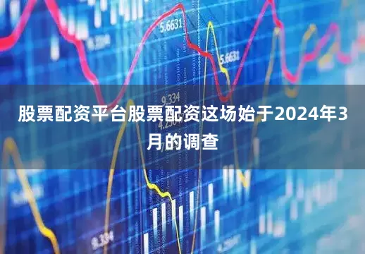 股票配资平台股票配资这场始于2024年3月的调查